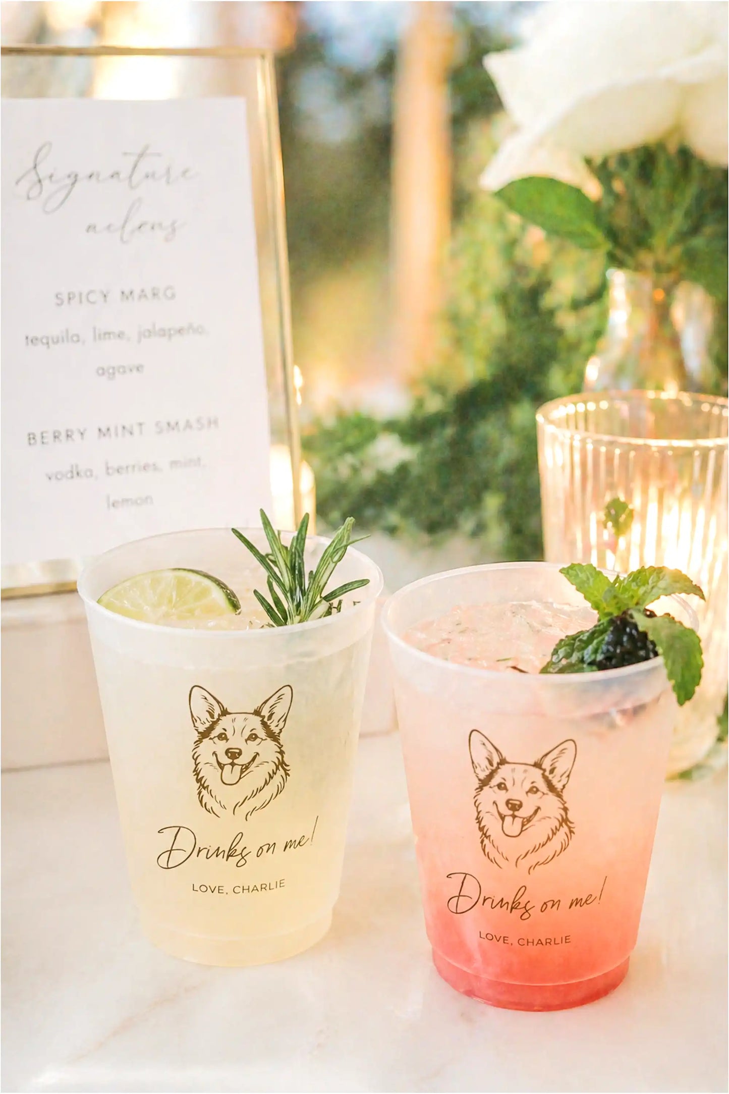 Two colorful drinks in cups with corgi dog illustrations and text, set against a blurred outdoor background.