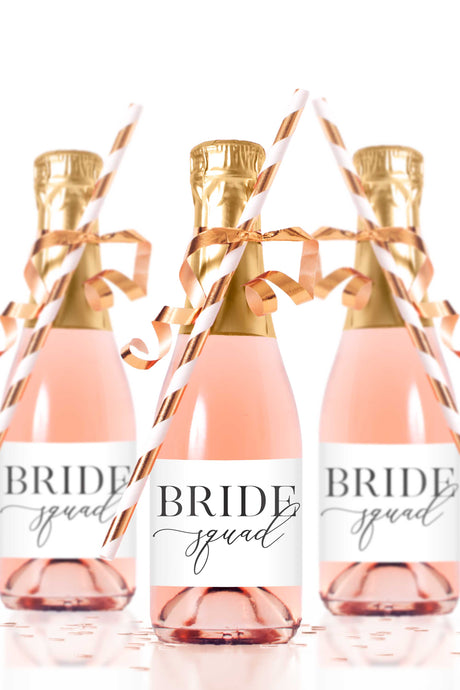 Bride Squad Mini Champagne Bottle Labels - Tea and Becky