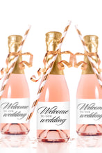 Load image into Gallery viewer, Welcome to our Wedding Mini Champagne Bottle Labels - Tea and Becky

